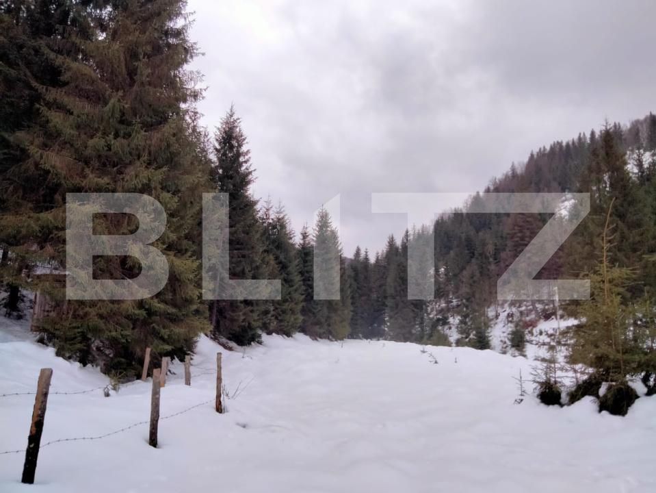 Casa de vânzare 5 camere Dealu Bajului - 187828CV | BLITZ Alba Iulia | Poza3