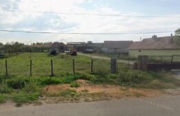 OPORTUNITATE INVESTIȚIE – 5 HECTARE LA PREȚ IMBATABIL | ALBA