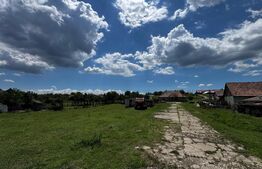 INVESTIȚIE – TEREN 5 HECTARE zona Roșia de Secaș | ALBA