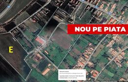 OPORTUNITATE INVESTIȚIE – 5 HECTARE LA PREȚ IMBATABIL | ALBA