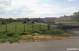 OPORTUNITATE INVESTIȚIE – 5 HECTARE LA PREȚ IMBATABIL | ALBA