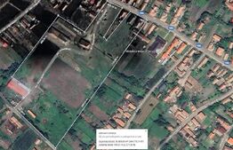 OPORTUNITATE INVESTIȚIE – 5 HECTARE LA PREȚ IMBATABIL | ALBA