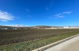 Teren de vanzare 11.600 mp– Santimbru