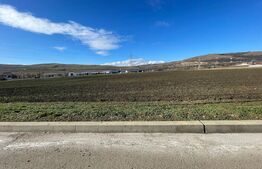 Teren de vanzare 11.600 mp– Santimbru