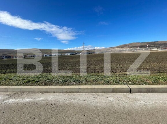 Teren de vânzare Santimbru - 187872TV | BLITZ Alba Iulia | Poza2