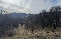 Teren intravilan 1.271 mp – Izvoarele, jud. Alba