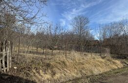 Teren intravilan 1.271 mp – Izvoarele, jud. Alba