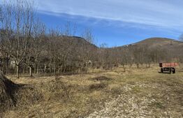 Teren intravilan 1.271 mp – Izvoarele, jud. Alba