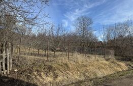 Teren intravilan 1.271 mp – Izvoarele, jud. Alba