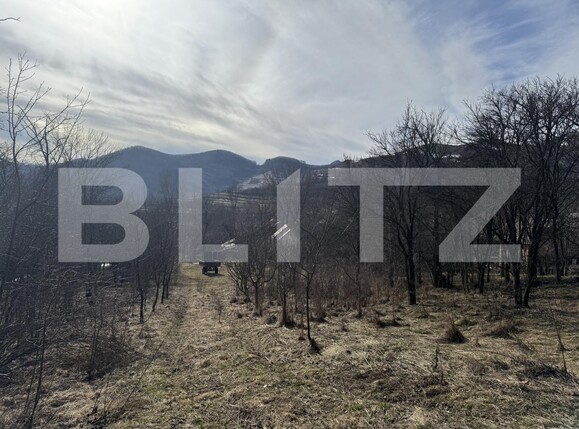 Teren de vânzare Izvoarele (Livezile) - 187874TV | BLITZ Alba Iulia | Poza14