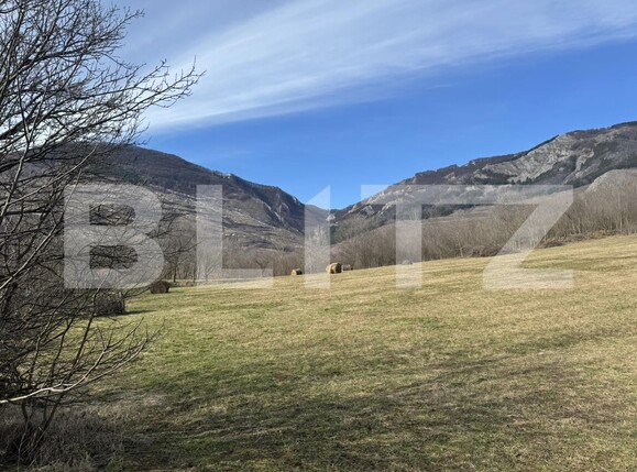 Teren de vânzare Izvoarele (Livezile) - 187874TV | BLITZ Alba Iulia | Poza1