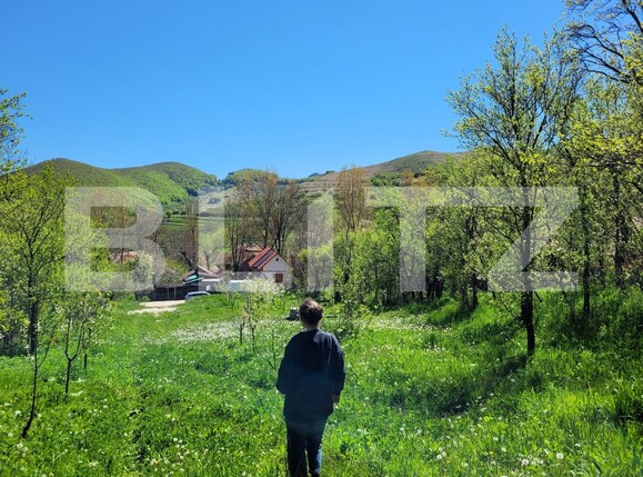 Teren de vânzare Izvoarele (Livezile) - 187874TV | BLITZ Alba Iulia | Poza7