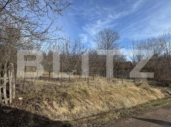 Teren de vânzare Izvoarele (Livezile) - 187874TV | BLITZ Alba Iulia | Poza15