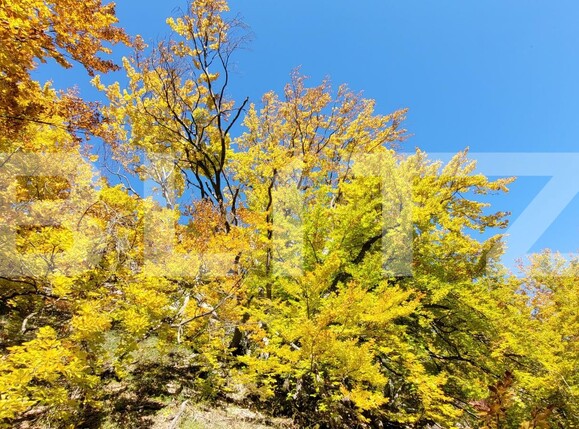 Teren de vânzare Izvoarele (Livezile) - 187874TV | BLITZ Alba Iulia | Poza10