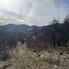 Teren de vânzare Izvoarele (Livezile) - 187874TV - Poza 1 din 15 | BLITZ Alba Iulia | Poza13