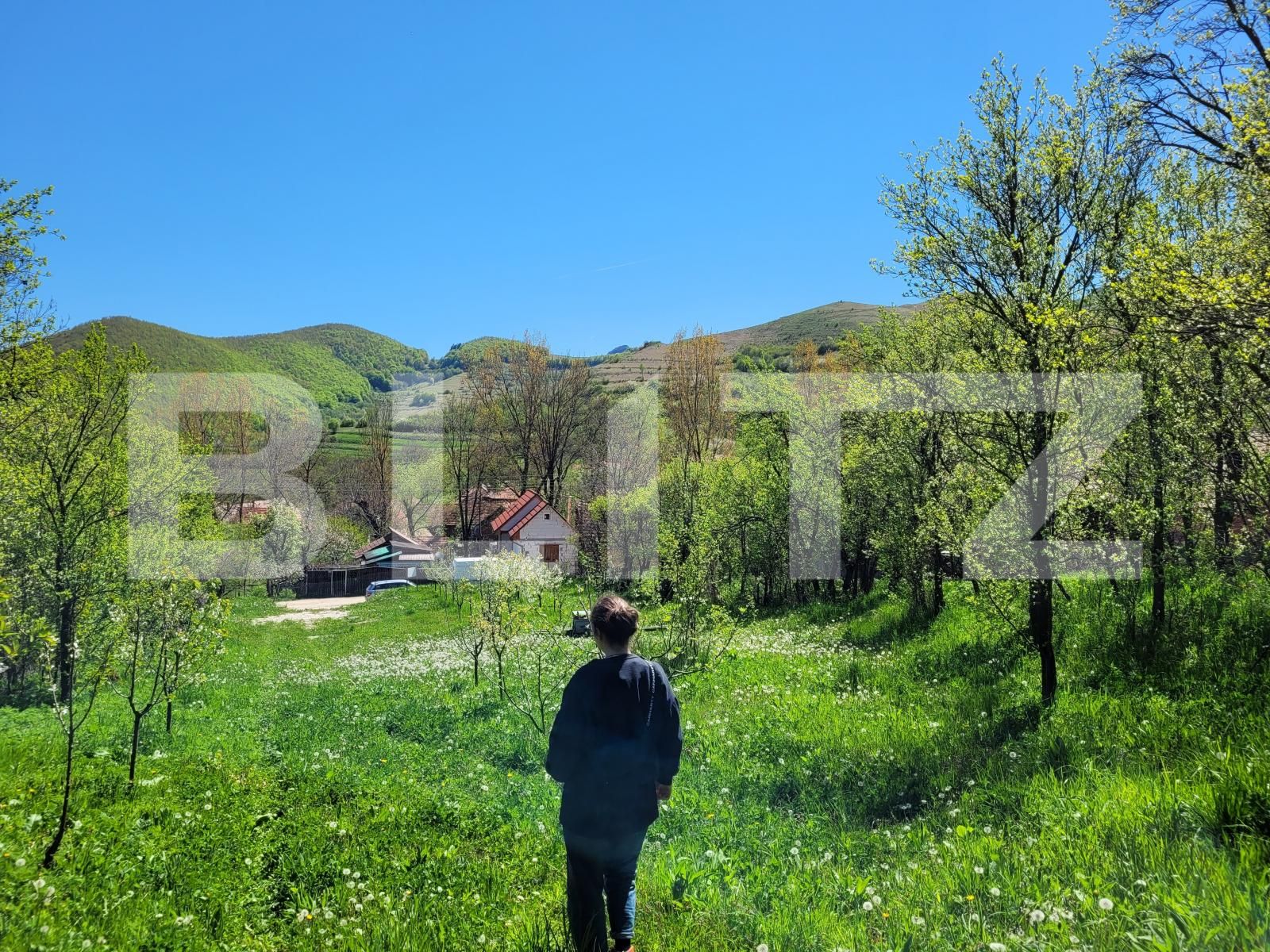 Teren de vânzare Izvoarele (Livezile) - 187874TV | BLITZ Alba Iulia | Poza7