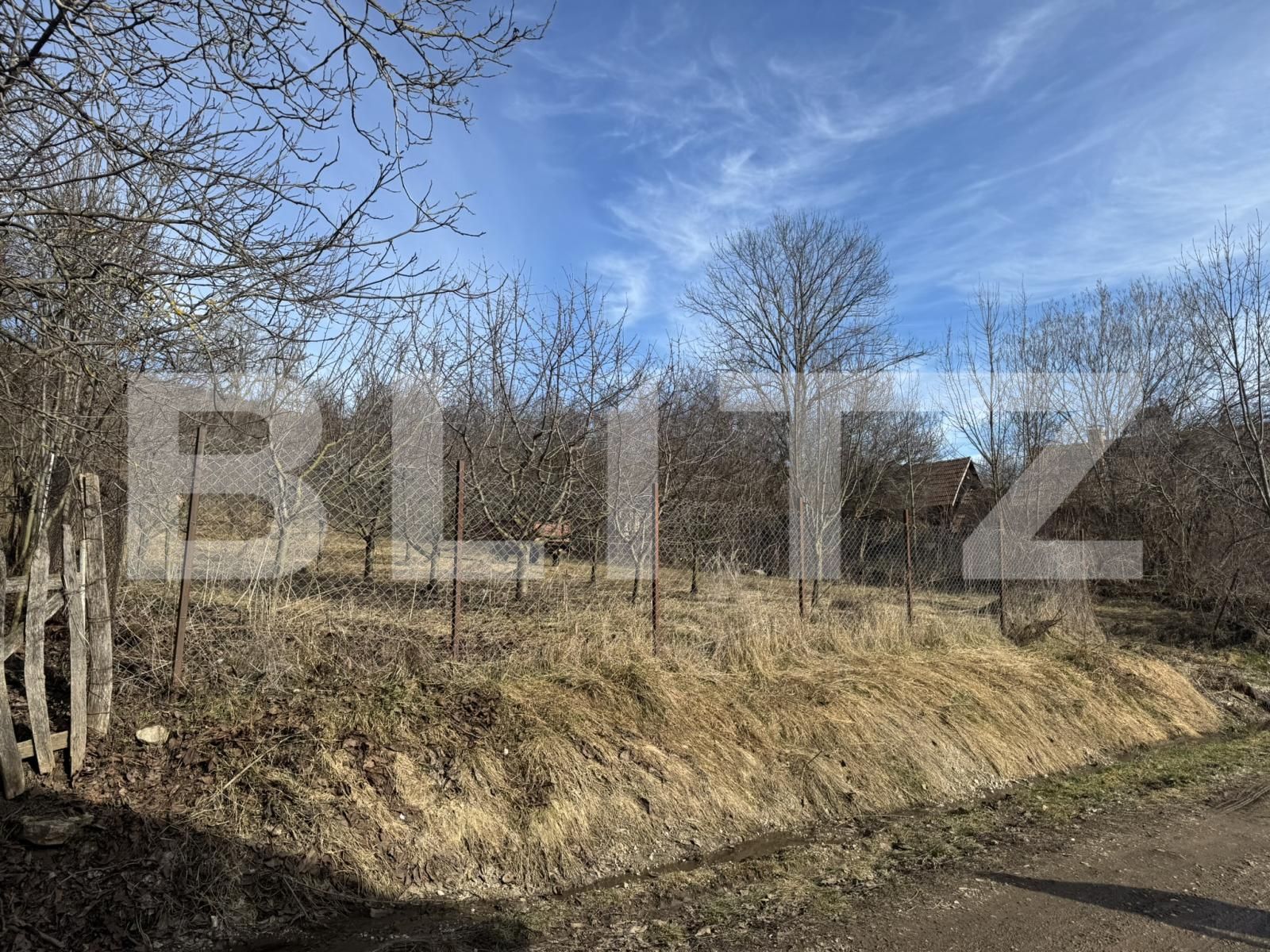 Teren de vânzare Izvoarele (Livezile) - 187874TV | BLITZ Alba Iulia | Poza15