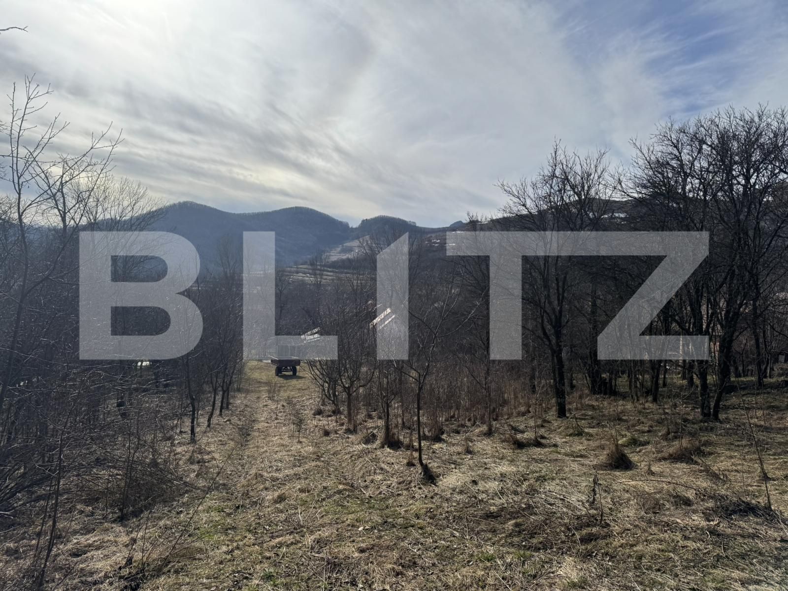 Teren de vânzare Izvoarele (Livezile) - 187874TV | BLITZ Alba Iulia | Poza14