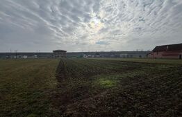 Teren intravilan 1.600 mp | Vințu de Jos | Deschidere ~20 ml | Acces la 2 străzi