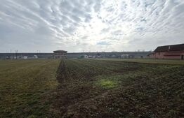 Teren intravilan 1.600 mp | Vințu de Jos