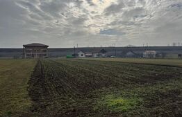Teren intravilan 1.600 mp | Vințu de Jos