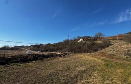 Teren extravilan 3100 mp cu ieșire la râul Mureș