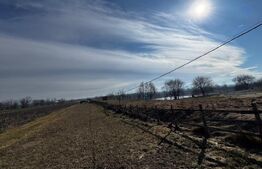 Teren extravilan 3100 mp cu ieșire la râul Mureș