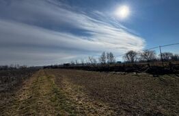 Teren extravilan 3100 mp cu ieșire la râul Mureș