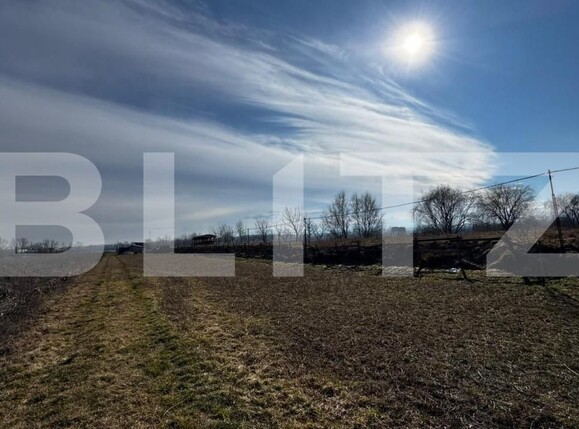 Teren de vânzare Vinţu de Jos - 188023TV | BLITZ Alba Iulia | Poza7