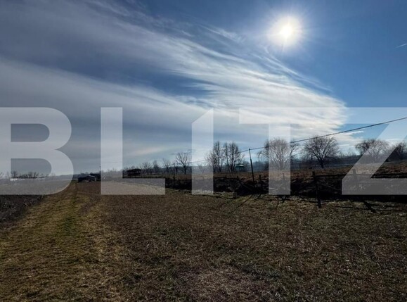Teren de vânzare Vinţu de Jos - 188023TV | BLITZ Alba Iulia | Poza6