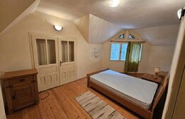 Casă la munte în Scărișoara – 286 mp, teren 2.699 mp