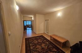 Casă la munte în Scărișoara – 286 mp, teren 2.699 mp