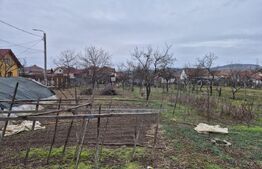Teren 1651 mp cu casă și anexe – oportunitate investiție, zona Barabant
