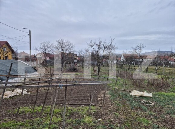 Casa de vânzare 2 camere Bărăbanț - 188063CV | BLITZ Alba Iulia | Poza1