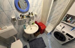 Vilă urbană, 194 mp utili, zonă Centru 