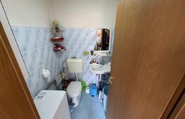 Vilă urbană, 194 mp utili, zonă Centru 