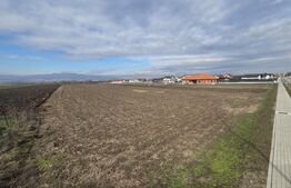 Teren pentru investiție | +14.000 mp | Ciugud – zonă în plină dezvoltare