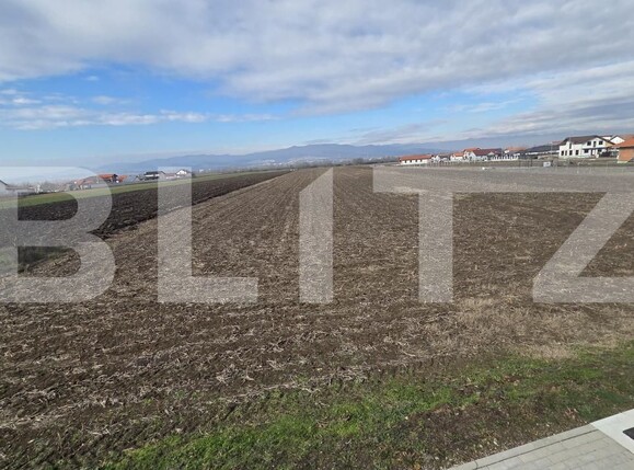 Teren de vânzare Ciugud - 188242TV | BLITZ Alba Iulia | Poza5