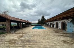 Restaurant de inchiriat 176mp utili, 230mp terasa si 8000mp teren langa Sebes