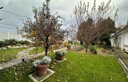 Restaurant de inchiriat 176mp utili, 230mp terasa si 8000mp teren langa Sebes