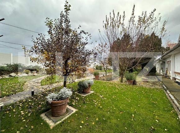 Spațiu comercial de închiriat Rahau - 188278SIC | BLITZ Alba Iulia | Poza6