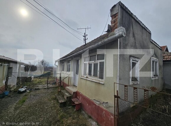 Casa de vânzare 4 camere Cricau - 188320CV | BLITZ Alba Iulia | Poza2