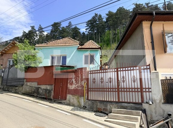 Casa de vânzare 4 camere Cugir - 188367CV | BLITZ Alba Iulia | Poza1