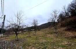 Teren intravilan 3.709 mp,  Stremț