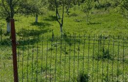 Teren intravilan 3.709 mp, Geoagiu de Sus, Stremț