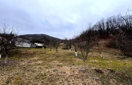 Teren intravilan 3.709 mp,  Stremț