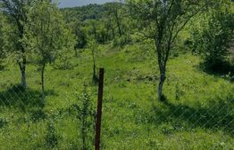 Teren intravilan 3.709 mp, Geoagiu de Sus, Stremț