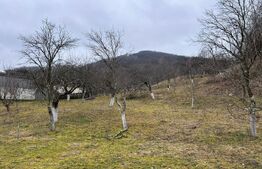 Teren intravilan 3.709 mp,  Stremț