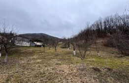 Teren intravilan 3.709 mp, Geoagiu de Sus, Stremț