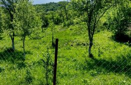 Teren de vânzare Bărăbanț - 193928TV | BLITZ Alba Iulia | Poza5